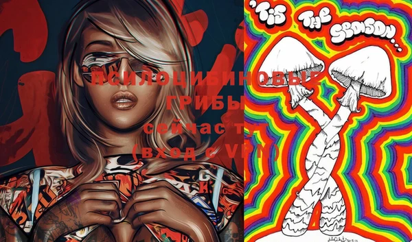 Альфа ПВП Сатка