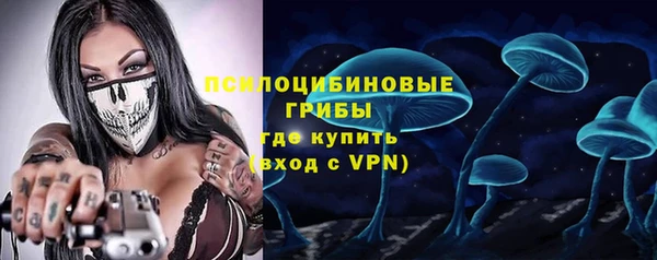 СК Саяногорск