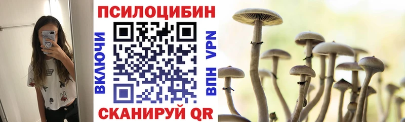 Купить  Нижнекамск  Псилоцибиновые грибы Magic Shrooms 